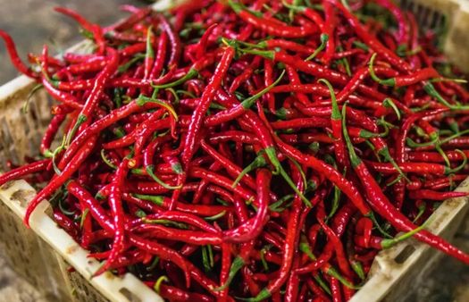 Jak se dají využít zdraví prospěšné chilli papričky?