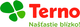 Terno