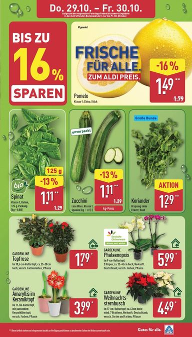 Prospekt ALDI Nord - ALDI NORD gültig ab 26.10. bis 30.10. - seite 32
