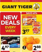 Giant Tiger flyer