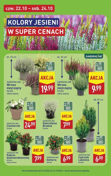 Gazetka ALDI - ALDI od 19.10. do 24.10. - strona 45