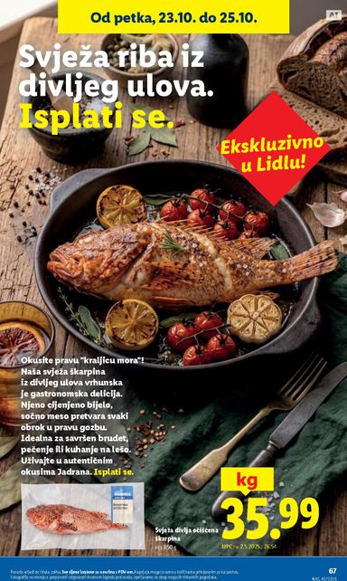 Katalog Lidl - Lidl vrijedi od 19.10. do 25.10. - stranica 67