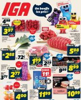 IGA flyer