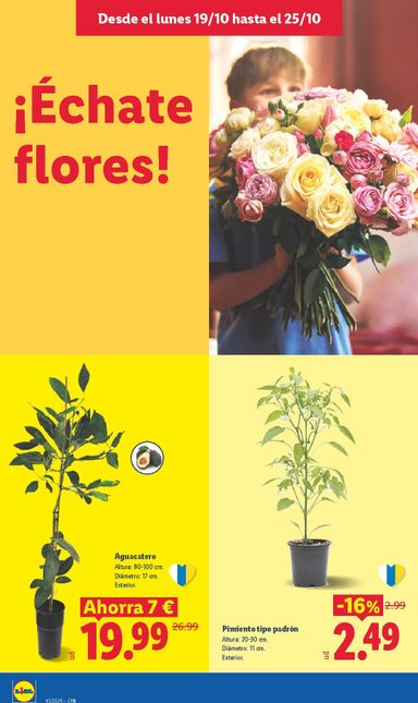 Folleto Lidl - Lidl - Islas Canarias del 19/10 al 25/10 - página 24