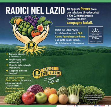Volantino Pewex - Pewex Supermercati - Via Rubicone, Roma valido dal 14/10 al 22/10 - pagina 7