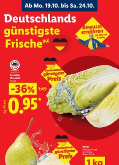 Lidl-Prospekt von Montag 19.10.