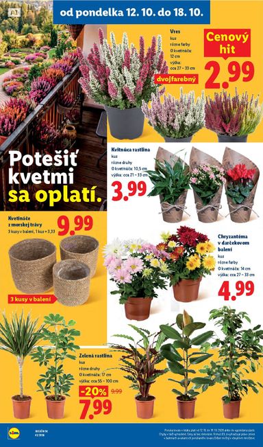 Leták Lidl - Lidl od 12.10. do 18.10. - strana 69