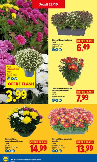 Catalogue Lidl - Lidl valable dès le 22/10 au 28/10 - page 33