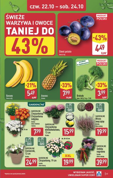Gazetka ALDI - ALDI od 19.10. do 24.10. - strona 43