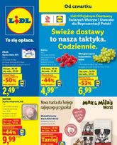 Lidl gazetka
