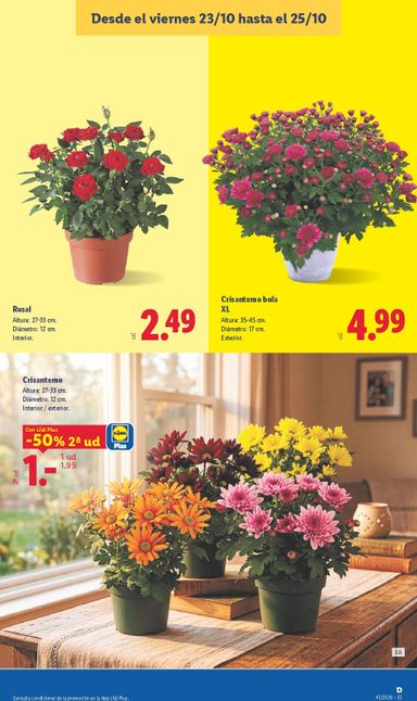 Folleto Lidl - Lidl del 19/10 al 25/10 - página 57
