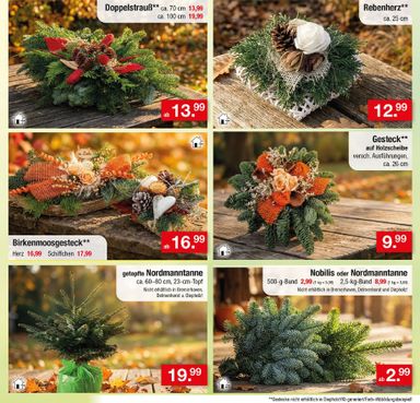Prospekt Zimmermann - Zimmermann gültig ab 02.11. bis 07.11. - seite 37