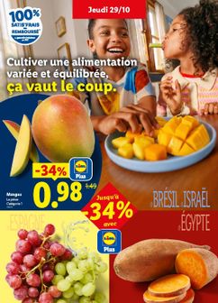 Catalogue Lidl de de jeudi 29/10