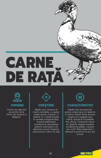 Catalogul Metro - Metro - Carne pentru Profesioniști de la 01.01. până la 31.12. - pagina 42