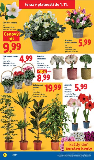 Leták Lidl - Lidl od 26.10. do 01.11. - strana 76
