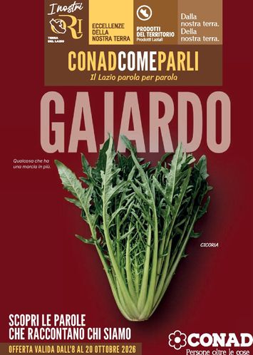 Volantino Conad City - Conad City - Gajardo valido dal 08/10 al 20/10 - pagina 1