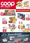 Coop - Tisza
