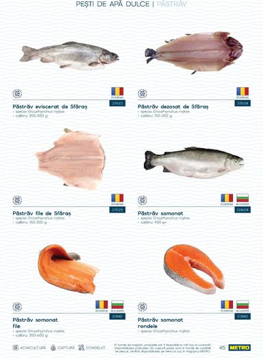 Catalogul Metro - Metro - Spui pește proaspăt de la 01.10. până la 31.12. - pagina 45