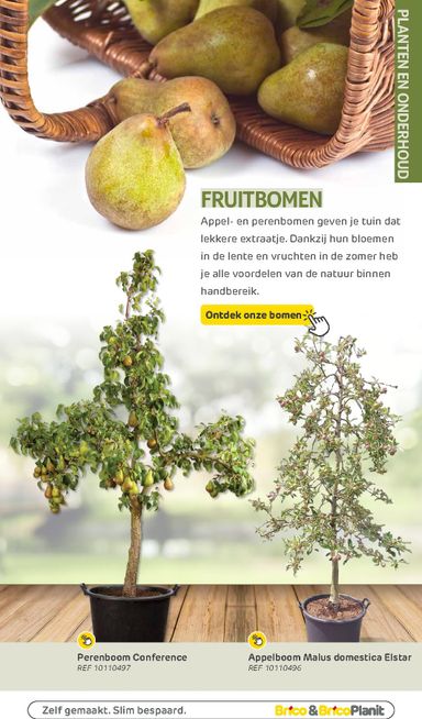 Folder Brico - Brico - Tuin catalogus van 01/03 tot 31/12 - side 109