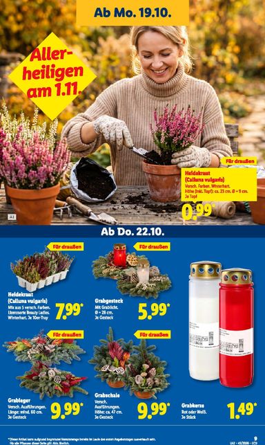 Prospekt Lidl - Lidl gültig ab 19.10. bis 24.10. - seite 19