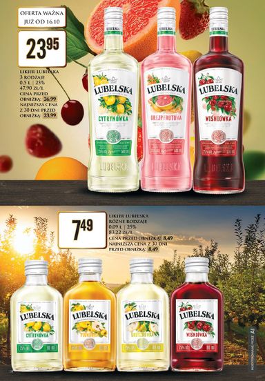 Gazetka Dino - Dino - Katalog alkoholowy od 19.10. do 24.10. - strona 10