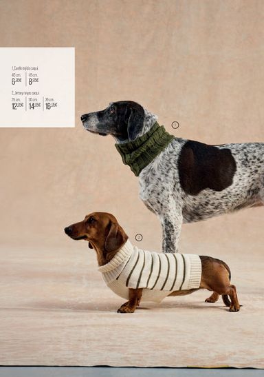 Folleto El Corte Inglés - El Corte Inglés - Especial Mascotas Otoño del 01/10 al 06/01 - página 2