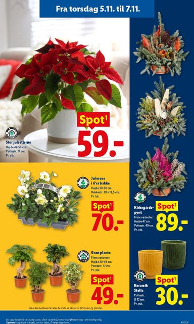 Brochurer Lidl - Lidl gyldig fra 01.11. til 07.11. - side 37