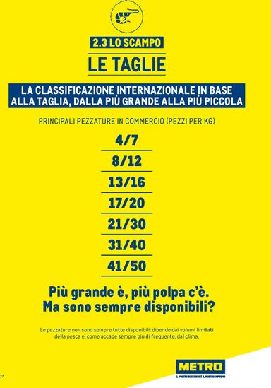 Volantino METRO - Metro - Catalogo Surgelati valido dal 01/01 al 31/12 - pagina 37