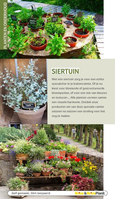 Folder Brico - Brico - Tuin catalogus van 01/03 tot 31/12 - side 168