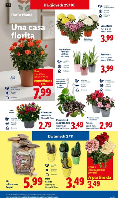 Volantino Lidl - Lidl valido dal 29/10 al 04/11 - pagina 39