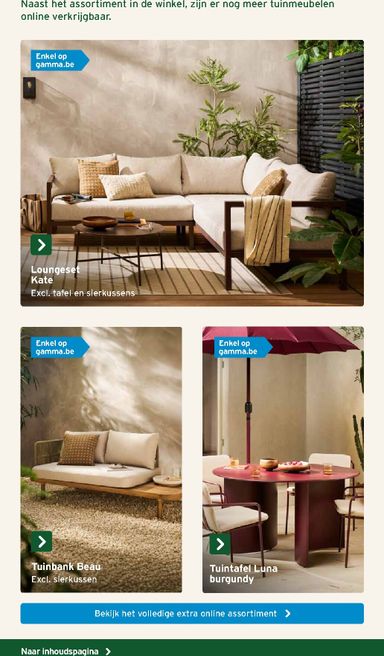 Folder Gamma - Gamma - Tuinmeubelen Special van 17/06 tot 31/12 - side 8
