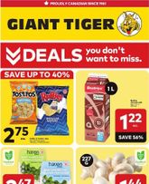 Giant Tiger flyer