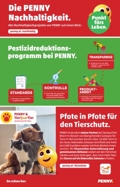 PENNY-Flugblatt - PENNY gültig ab 29.10. bis 04.11. - seite 36
