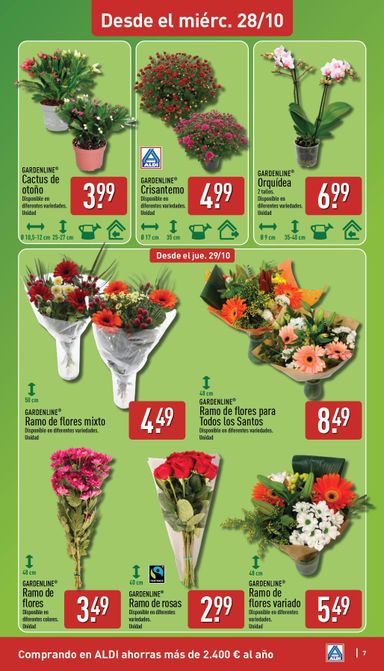 Folleto ALDI - ALDI del 26/10 al 01/11 - página 7