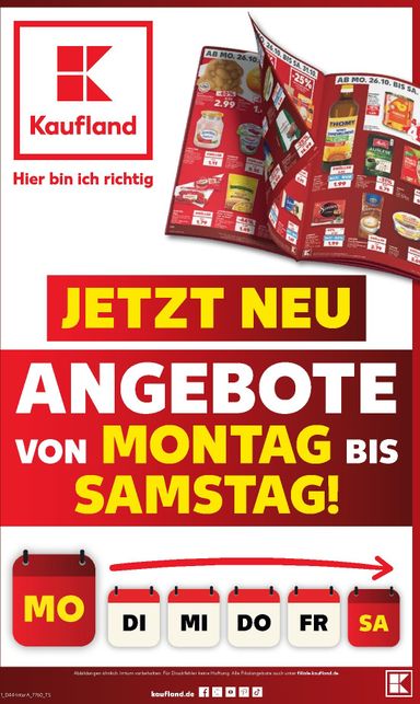 Leták Kaufland Německo - Kaufland Německo od 26.10. do 31.10. - strana 77