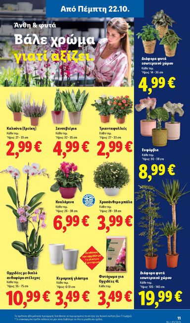 Φυλλάδιο Lidl - Lidl από 22/10 έως 27/10 - σελίδα 53
