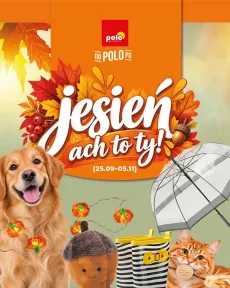 POLO market - Jesień