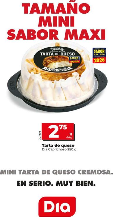 Folleto Dia - Dia del 21/10 al 27/10 - página 9