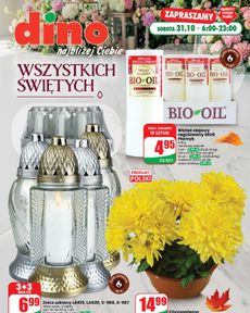 Dino - Wszystkich Świętych