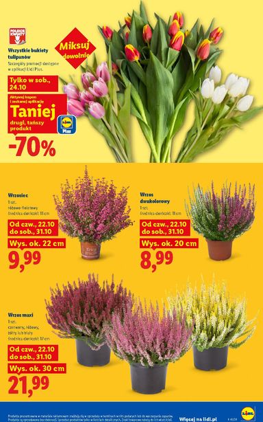 Leták Lidl Polsko - Lidl Polsko od 22.10. do 24.10. - strana 103