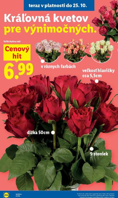 Leták Lidl - Lidl od 19.10. do 25.10. - strana 83