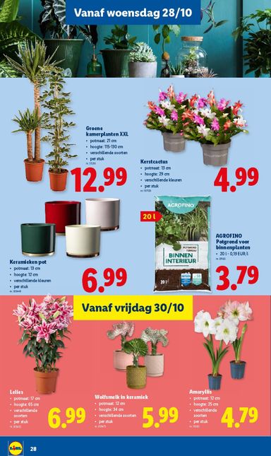 Folder Lidl - Lidl van 26/10 tot 31/10 - side 28