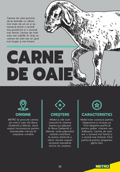 Catalogul Metro - Metro - Carne pentru Profesioniști de la 01.01. până la 31.12. - pagina 24