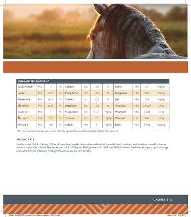 Flyer Co-op - Coop - Rural Routes valid since 01-15 until 01-06 - page 11