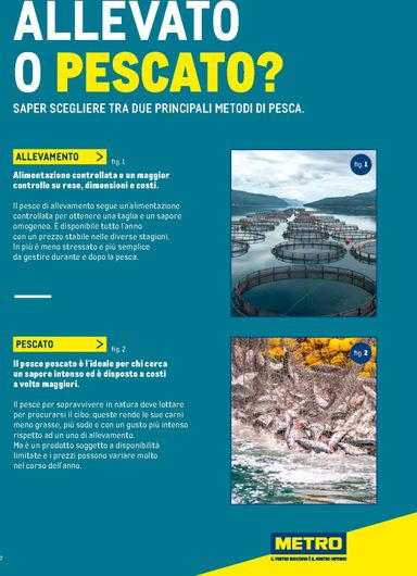 Volantino METRO - Metro - Catalogo Surgelati valido dal 01/01 al 31/12 - pagina 7