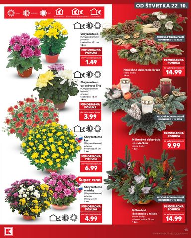 Leták Kaufland - Kaufland od 22.10. do 28.10. - strana 13