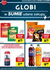 Carrefour - Globi
