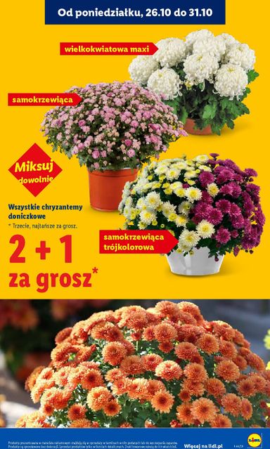Leták Lidl Polsko - Lidl Polsko od 26.10. do 31.10. - strana 45