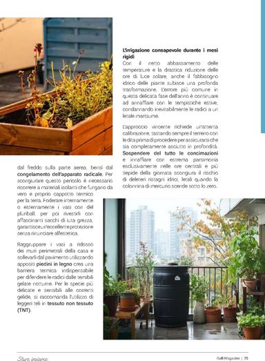 Volantino Gulliver - Gulliver - Gulli Ottobre valido dal 01/10 al 31/10 - pagina 75