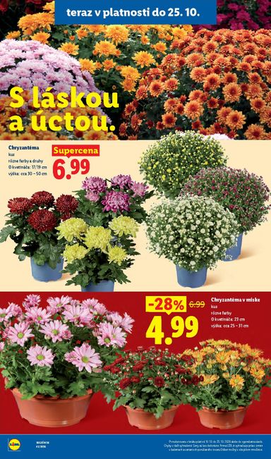 Leták Lidl - Lidl od 19.10. do 25.10. - strana 50